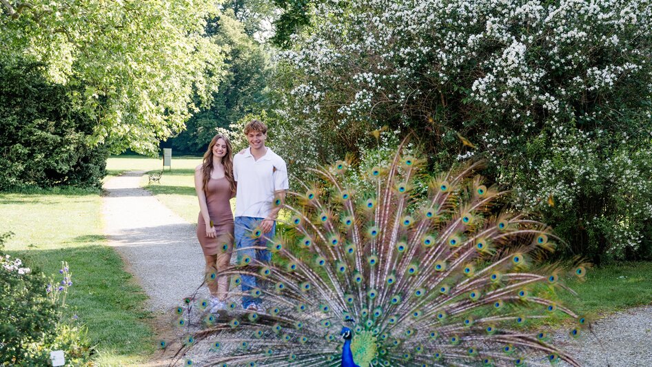Ein Paar posiert im Schlosspark, ein Pfau entfaltet sein Rad. | © Graz Tourismus - Mias Photoart
